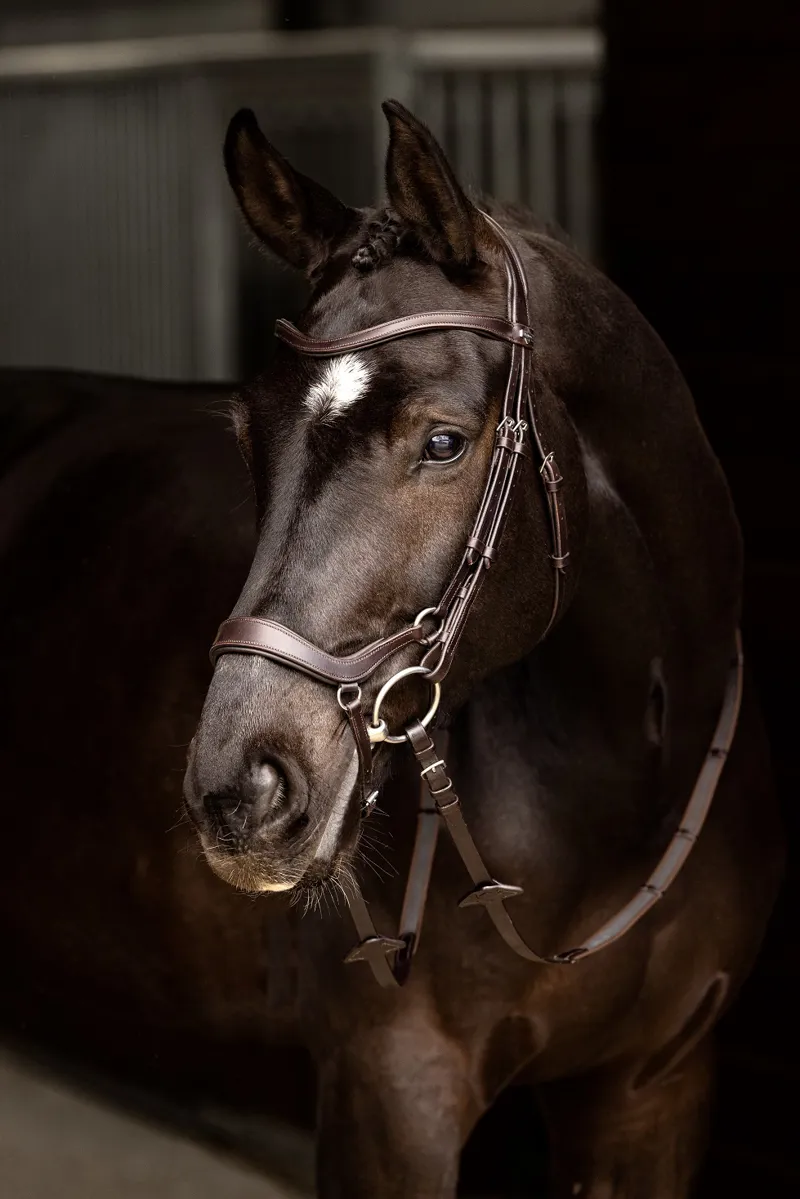 LeMieux Arika Drop Bridle in Brown and Silver